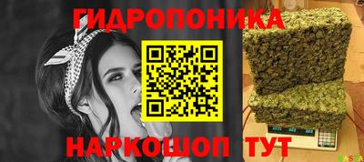 спиды Обь