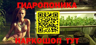 прущие грибы Нягань