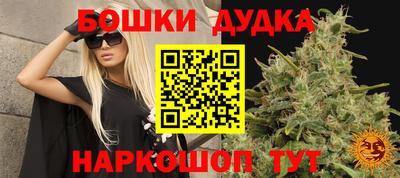 спиды Обь