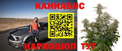 прущие грибы Нягань