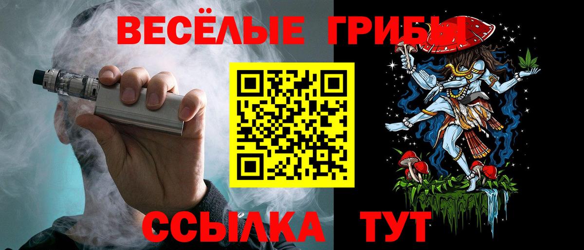 Хабаровск  Псилоцибиновые грибы Psilocybe  где продают наркотики  Псилоцибиновые грибы мухоморы  Вход с VPN 