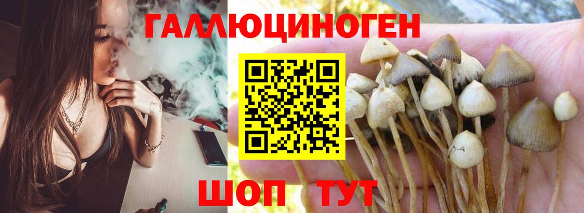 Псилоцибиновые грибы ЛСД Хабаровск
